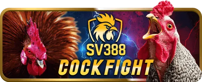 Bảng hiển thị tỷ lệ cược và các loại kèo cược đá gà tại bet 69